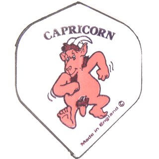 1 Sets (3 Stück) Fun-Sternzeichen Capricorn/Steinbock standard