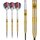 Daryl Gurney Steeldart 90% Tungsten 23g Steeltip von Winmau