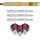 Daryl Gurney Steeldart 90% Tungsten 23g Steeltip von Winmau