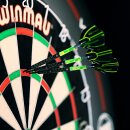 MVG Michael Van Gerwen Steeldart Adrenalin 90% Tungsten 23gr