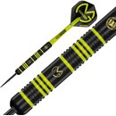 MVG Michael Van Gerwen Ambition Brass 22g von Winmau