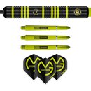 MVG Michael Van Gerwen Ambition Brass 22g von Winmau