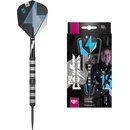 Target Darts Phil Taylor Power Series Schwarze Wolfram Swiss Point Steeldarts-Set Dartpfeile (21 gr)
