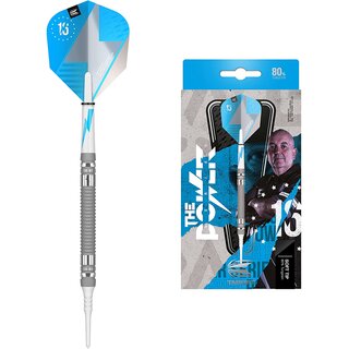Target Darts Phil Taylor Power Series Silberne Wolfram Softdarts-Set Dartpfeile (21 gr)