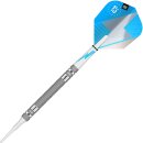 Target Darts Phil Taylor Power Series Silberne Wolfram Softdarts-Set Dartpfeile (21 gr)