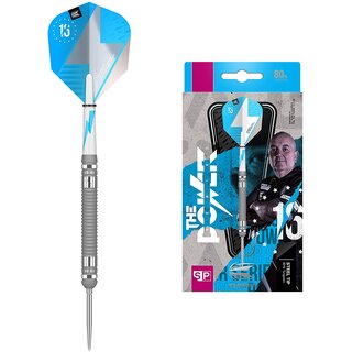 Target Darts Phil Taylor Power Series Silberne Wolfram Swiss Point Steeldarts-Set Dartpfeile (24 gr)