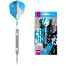 Target Darts Phil Taylor Power Series Silberne Wolfram Swiss Point Steeldarts-Set Dartpfeile (24 gr)