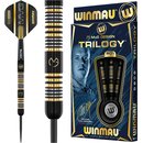 WINMAU Michael Van Gerwen MvG Trilogy 21.5 gr Profi Wolfram Steeldarts