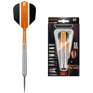 Steeldart Raymond van Barneveld RVB 80 Steeltip 23g