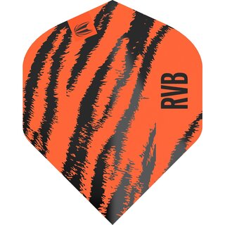 Target Darts Raymond Van Barneveld RVB Brass Orange Nr. 2 Pro Ultra Dart Flights