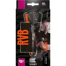 Target Darts Raymond Van Barneveld RVB 80 Schwarz G2 25G 80% Tungsten Swiss Point Steel Tip Darts Set