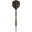 Target Darts Raymond Van Barneveld RVB 80 Schwarz G2 25G 80% Tungsten Swiss Point Steel Tip Darts Set