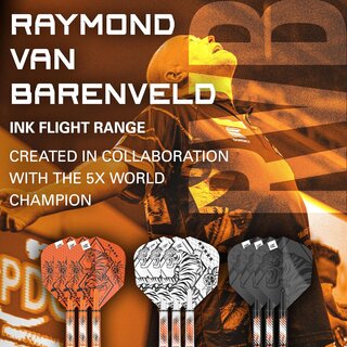 Target Raymond Van Barneveld Ink Design No.6 Flights & intermediate Shafts (41mm) Multipack - 3er Pack