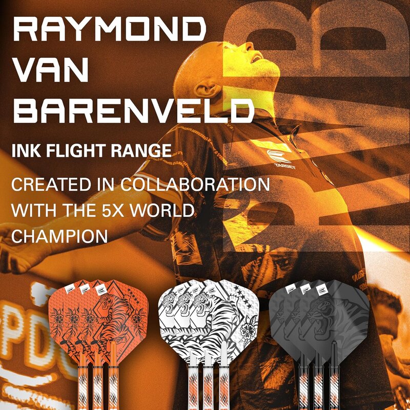Target Raymond Van Barneveld Ink Design No.6 Flights & kurze Shafts (34mm) Multipack - 3er Pack