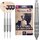 Target Darts Raymond Van Barneveld RVB 25 Year Edition 23G 95% Wolfram Swiss Point Stahlspitze Darts Set Steeldarts Dartpfeile