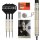 Dimitri Van den Bergh Steeldarts 95K-Dartpfeil-Set, 22 g 95-%-Tungsten, SP-Tool inkludiert