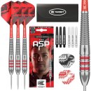 Nathan Aspinall Messing Steeldarts Dartpfeil-Set, 22 g,...