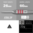 Nathan Aspinall Messing Steeldarts Dartpfeil-Set, 22 g, Aufbewahrungsetui