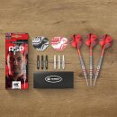 Nathan Aspinall Messing Steeldarts Dartpfeil-Set, 22 g, Aufbewahrungsetui