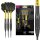Bolide Void 90% Tungsten Steeldart, Swiss-Point-Darts | Barrel 05, 26G