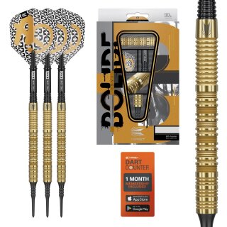 Bolide Envy 90% Tungsten Soft Tip Dart (Barrel 10), 18G