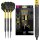 Bolide Void 90% Tungsten Steeldart, Swiss-Point-Darts | Barrel 04, 21G