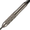 Steeldart Phil Taylor Power Silverlight Steeltip 22g
