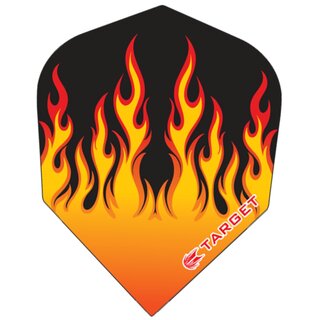 1 Set (3 Stück) Target PRO 100 Vision Flames Flight