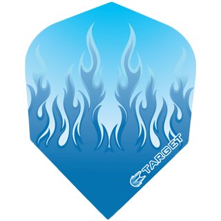1 Set (3 Stück) Target PRO 100 Vision Flames Flight
